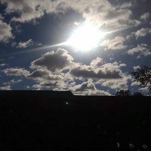 Meet your Posher, Fran